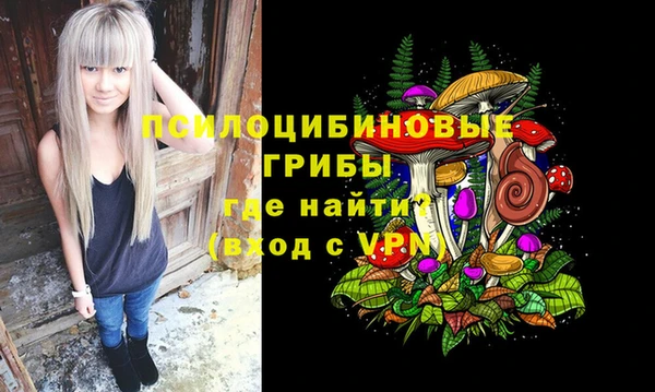 spice Саяногорск