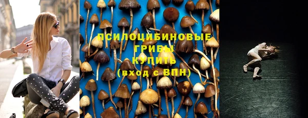 ALPHA-PVP Белокуриха
